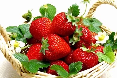 Strawberries wallpaper.jpg