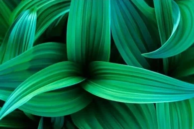 How To Make A Desktop Backgrounds Slide Show In Windows 7 ...