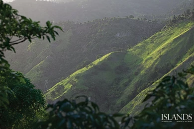 Jamaica Wallpapers   28770