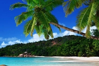 Orange Bay Jamaica 640x1136.jpg