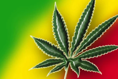 1024×768 Pixel Desktop Wallpapers : Marijuana Rasta Jamaica H ...