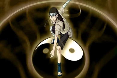 Naruto: Neji Hyuga