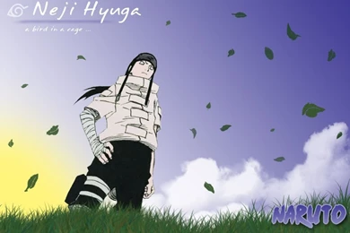 Neji Hyuga Wallpapers   Wallpapers Cave