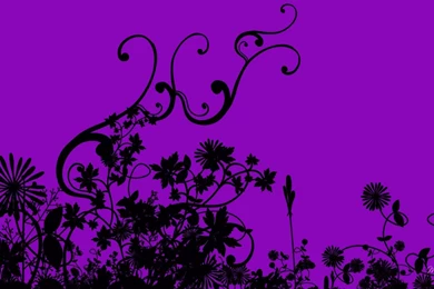 Pretty Backdround   Lauren Cohan Photo (36718457)   Fanpop