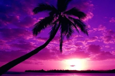 Pretty Purple Backgrounds