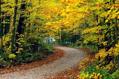 Top 35 Beautiful And Fabulous Paths Wallpapers In HD