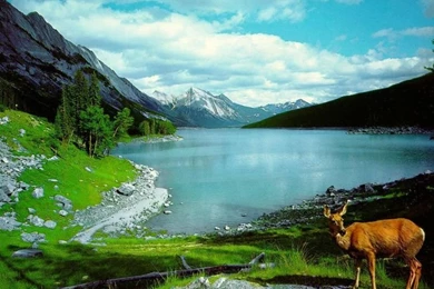 Natural Landscape On Pinterest