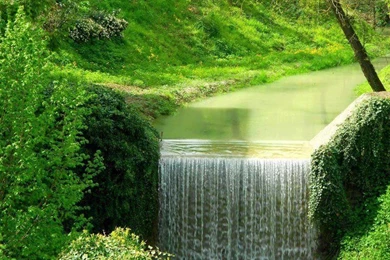 Beautiful Nature.jpg