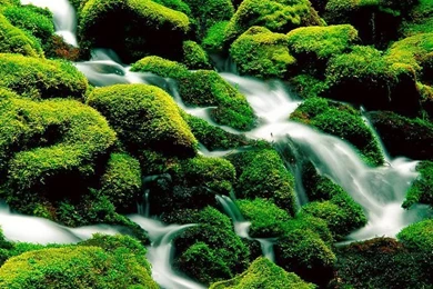 Most Favorite Nature Landscape Wallpapers 11   Wallcoo.net