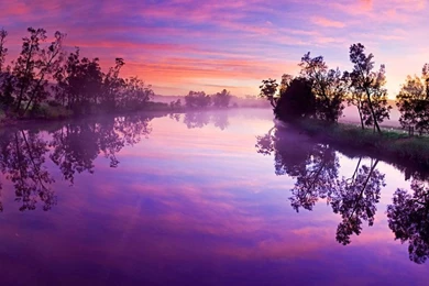 Pretty Purple Background Images