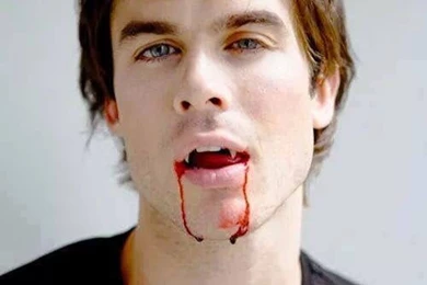 Damon In The Vampire Diaries   Image