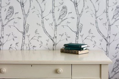Aeropostale Women's Bird Tree Peel And Stick Wallpapers Grey ...