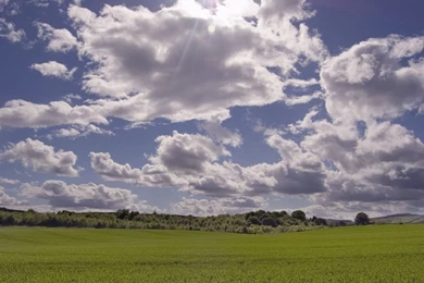 1440x900 Grass HD Desktop PC And Mac Wallpapers