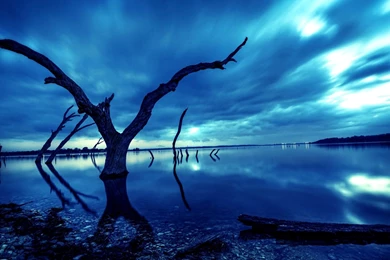 High Quality Images, Hd Desktop Images, Amazing Views, Cool ...