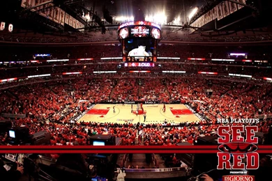 2012 Playoffs: See Red Wallpapers