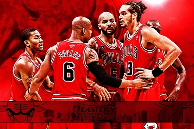 Chicago Bulls