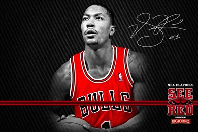 Bulls Iphone Wallpapers Hd   Bulls Wallpapers For Iphone Picture ...