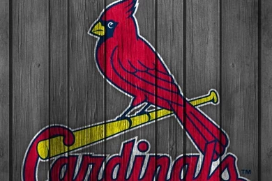 Pic > Cardinal Wallpapers For Iphone