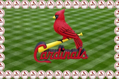 Cardinals Birds   St Louis Cardinals Wallpapers   HD Wallpapers 95143