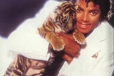 Michael Jackson Photo, Pics, Wallpapers   Photo