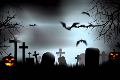 Halloween Graveyard Backgrounds After Effects Template   YouTube