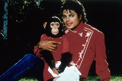 Wallpapers HighLights: Michael Jackson Wallpapers