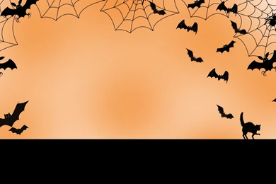 Pics, Facts, Funny Stuff About Animals & Nature Spider Backgrounds ...