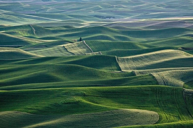 Nature Mountain Forest Landscape Fog Field Ultrahd 4k Wallpapers ...