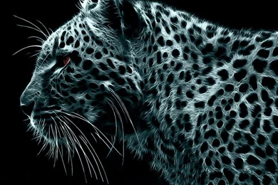 Best Rated Wallpapers All Wallpapers New