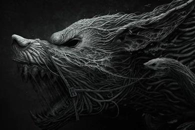 Galaxy Tab Wallpapers HD  Entertainment   Beautiful, Stunning ...