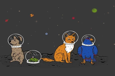 Star Fox Wallpapers   Wallpapers Cave