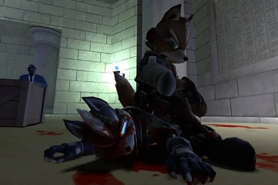 Fox McCloud Defeats Wolf O'Donnell By Lenzikka On DeviantArt