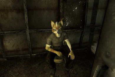 Fallout 3 Fox McCloud By MikeyTheFox On DeviantArt