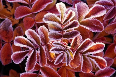 Top Rated Wallpapers 59   Windows 7 Vista & XP Picks Wallpapers ...