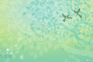 Happy, Hope y Wallpapers   Gaiam Blog