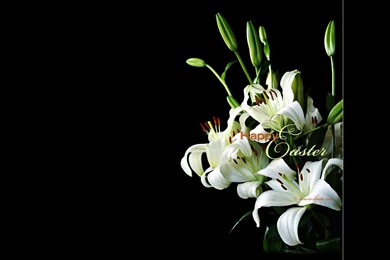 Free Desktop Wallpapers