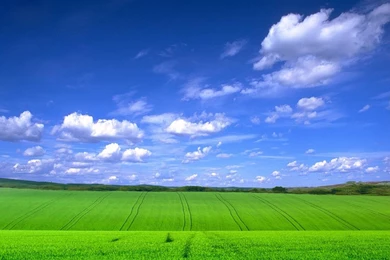 Free Dream The Green Blue Dream Happy Computer Desktop Wallpapers