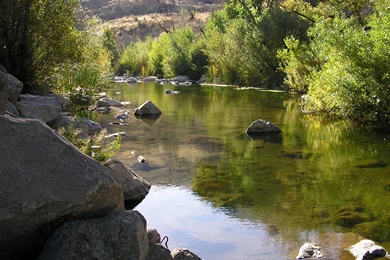 Fly Fishing Wallpapers