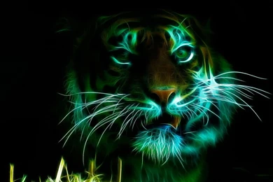 Green tiger wallpaper.jpg