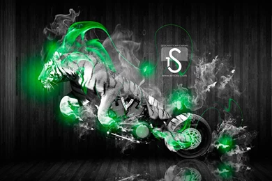 Moto Tiger Fantasy Fire 2013 « El Tony