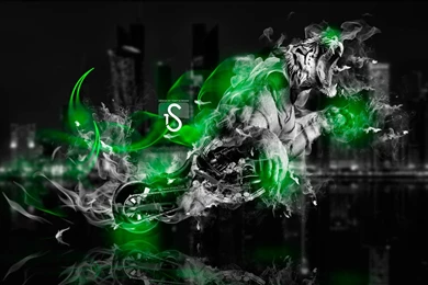 Fantasy Moto Tiger Power Fire 2014 « El Tony