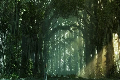 Animated Trees Orignal Laptops Wallpapers