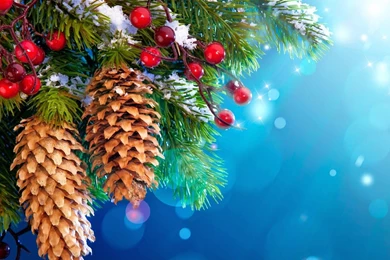 Newyearhappy: Happy New Year 2015 Desktop Backgrounds