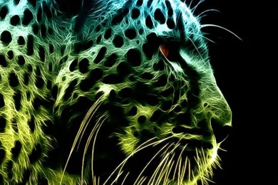 Colorful tiger iphone 4 wallpaper.jpg