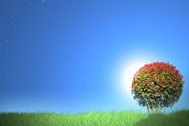 Trees Wallpapers, Images, Photos, Pictures & Pics