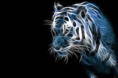 Tiger 3D Cool Wallpapers Widescreen