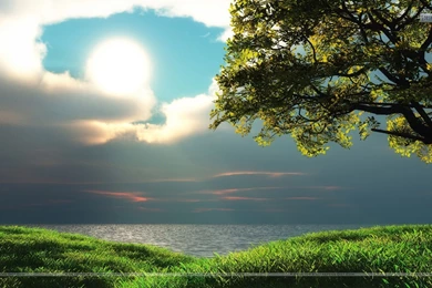 Cool Looking Sunset Scenery With Green Grass Wallpapers