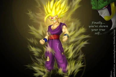 Gohan Extreme 3000: Wallpapers