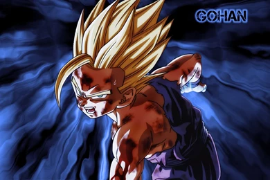 Gohan*   Dragon Ball Z Wallpapers (35367913)   Fanpop