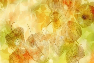 Free Wallpapers   Free Nature Wallpapers   Cg Seasons Autumn Winter ...